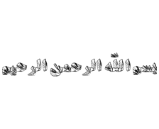 طرح بسم الله شماره 154